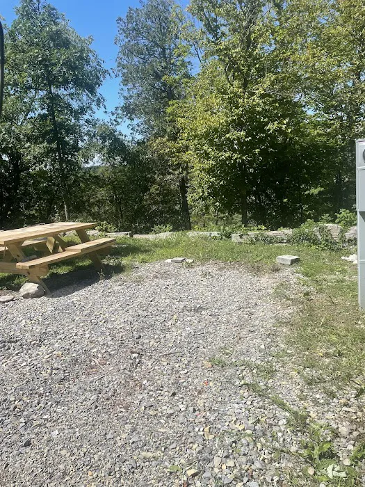 Chaumont River RV Park &Campground Picture 7