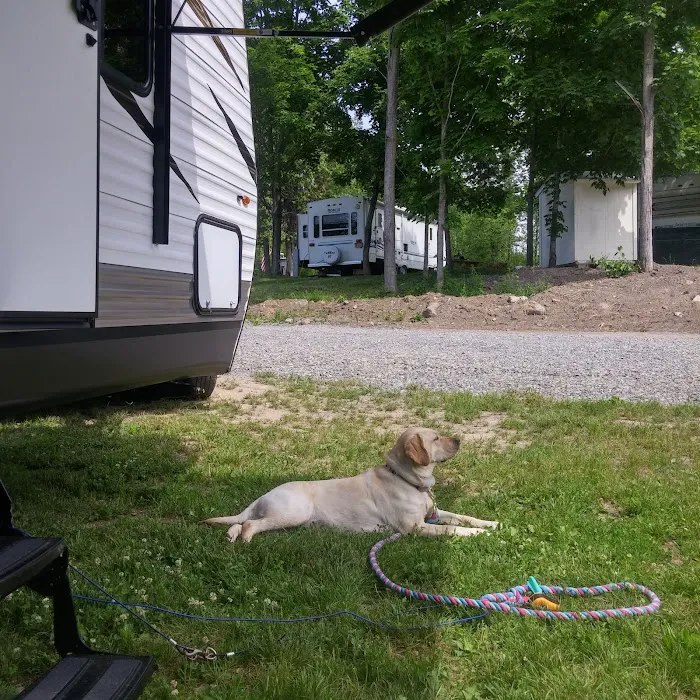 Chaumont River RV Park &Campground Picture 8