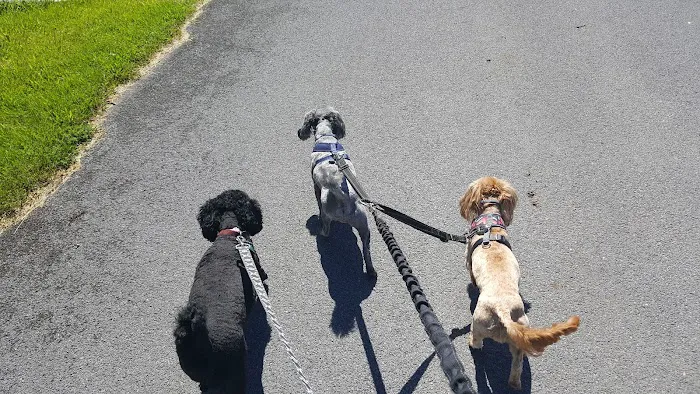 Indian River Estates Picture 10