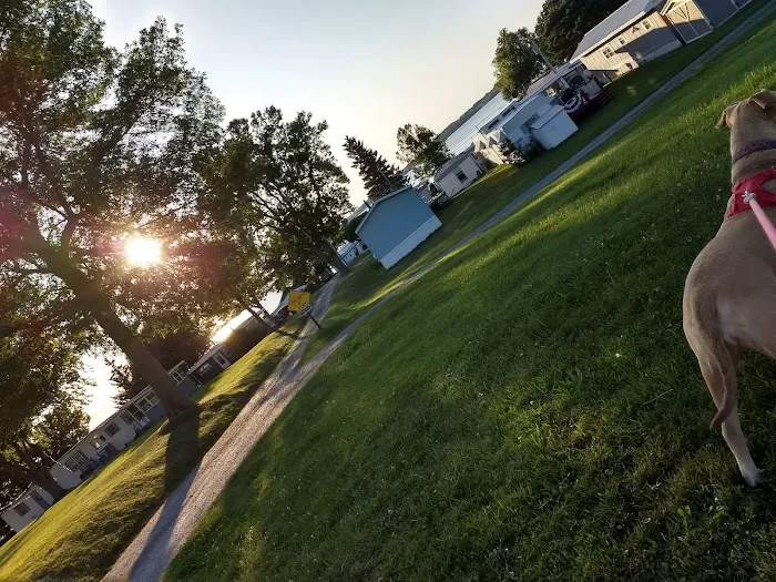 Maloney's Trailer Park Picture 1