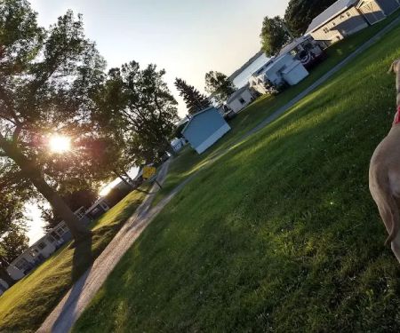 Maloney's Trailer Park