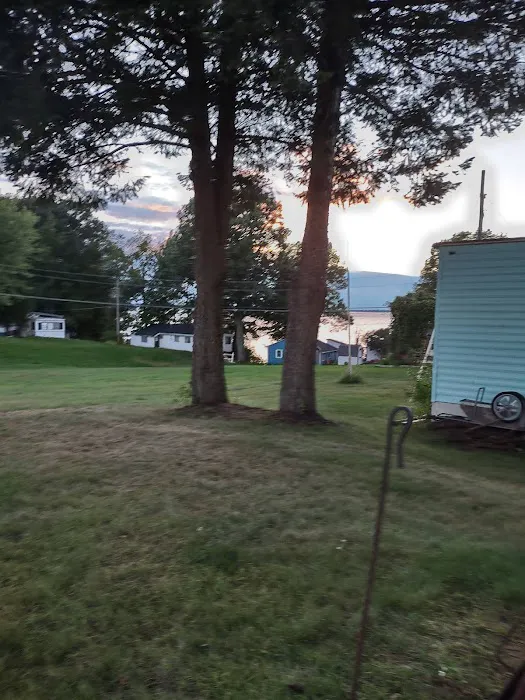 Maloney's Trailer Park Picture 8