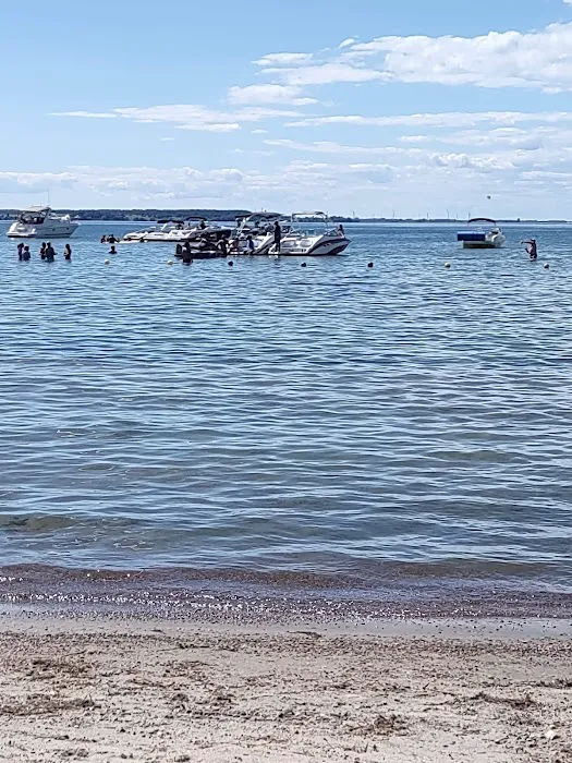 Maloney's Trailer Park Picture 9