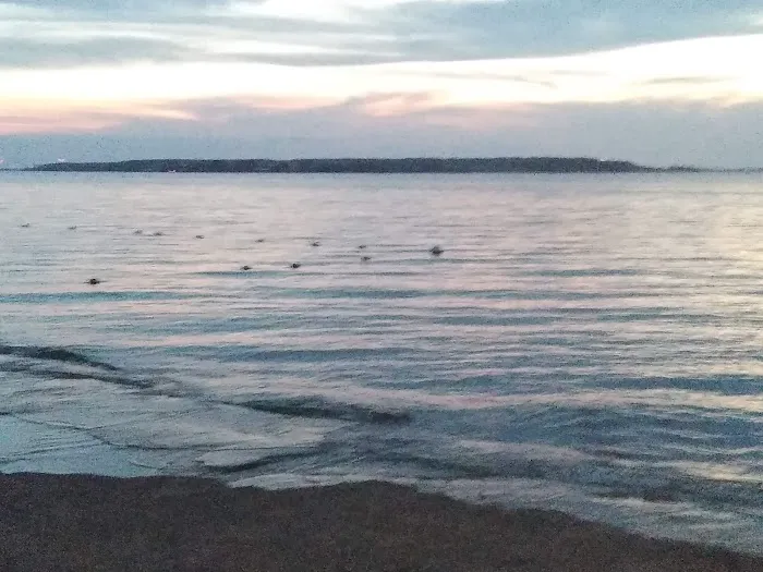 Lazy Acres Park Picture 2