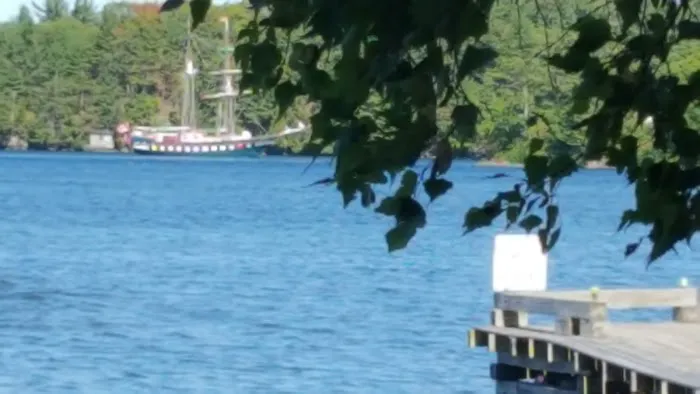 Bartons & Healys Trailer Park Picture 2