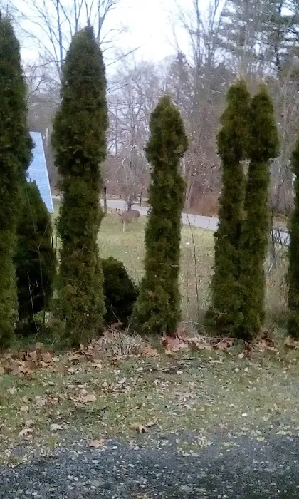 Hillview Mobile Home Park Picture 1