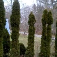 Hillview Mobile Home Park ico