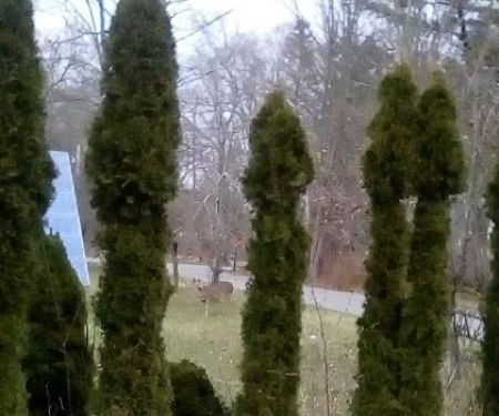 Hillview Mobile Home Park