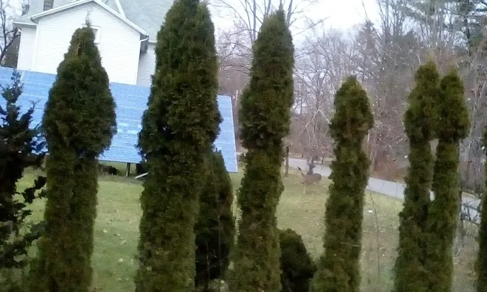 Hillview Mobile Home Park Picture 2