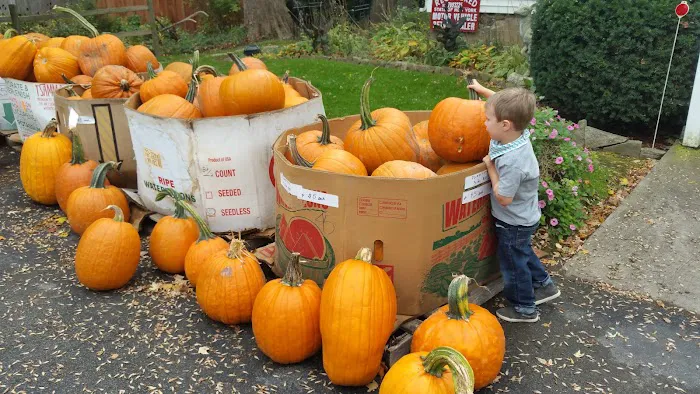 Tajmahal Mobile Home Park Picture 4