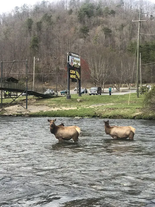 Cherokee Riverfront RV Park Picture 6