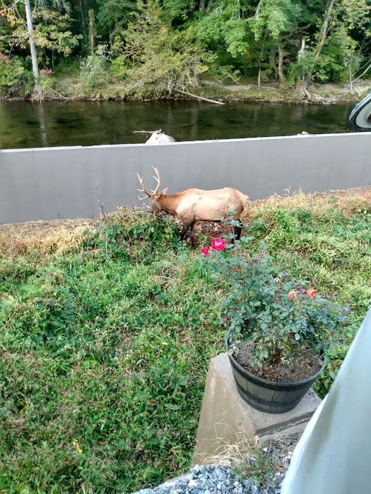 Cherokee Riverfront RV Park Picture 4