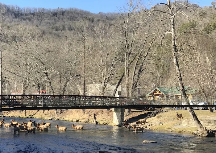 Cherokee Riverfront RV Park Picture 3