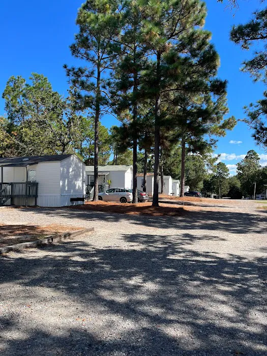 Riverwoods RV Park Picture 5