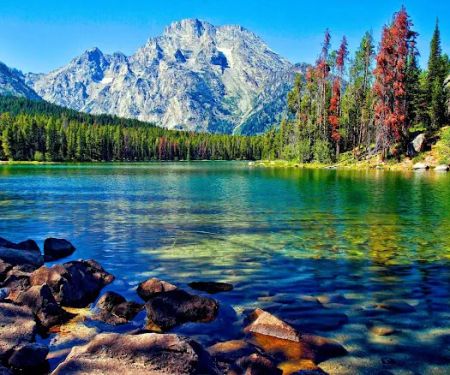 Mountain Lake RV Park