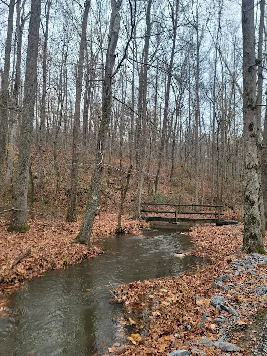 Mountain Lake RV Park Picture 9