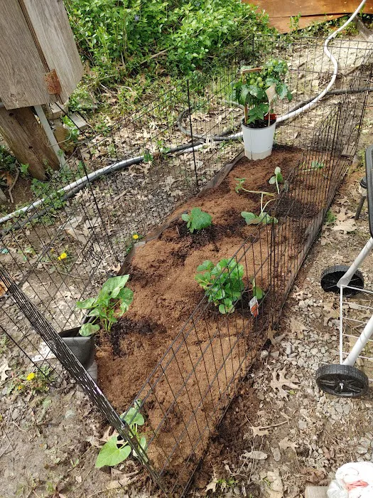 Village Hills RV & Mobile Home Community Picture 6