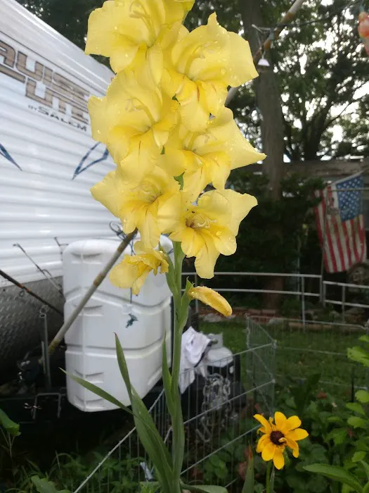 Village Hills RV & Mobile Home Community Picture 8