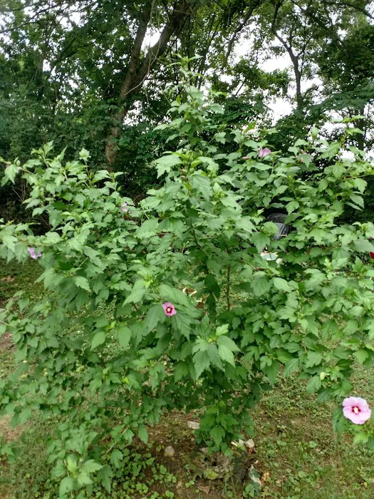 Village Hills RV & Mobile Home Community Picture 7