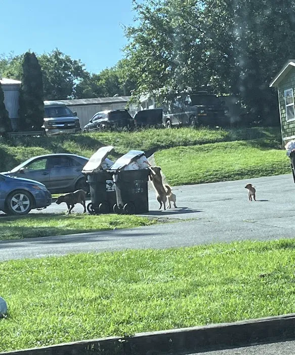 Country Meadows Picture 9