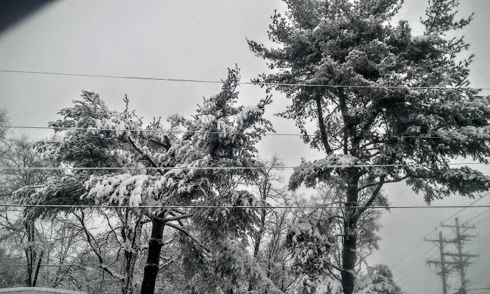 Ranchwood Mobile Home Park Picture 2