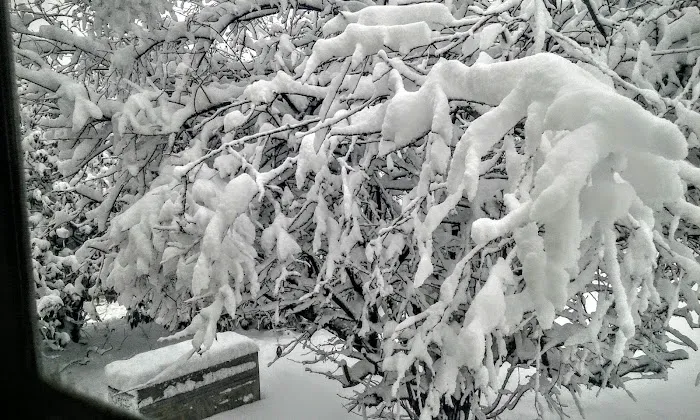 Ranchwood Mobile Home Park Picture 4