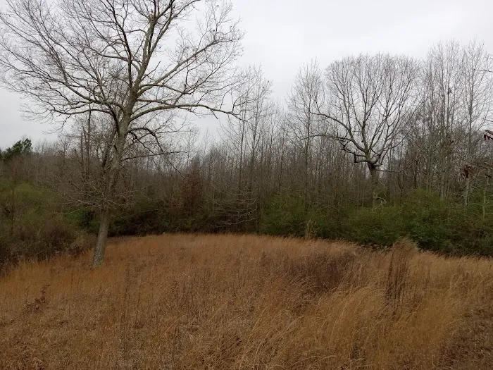 Gypsy Creek RV Park Picture 1