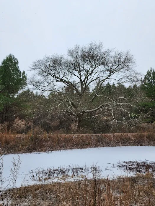 Crimson Hollow Residential Park Picture 1