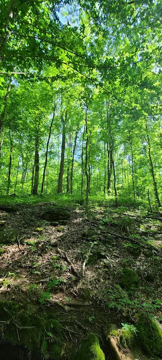 Crimson Hollow Residential Park Picture 5