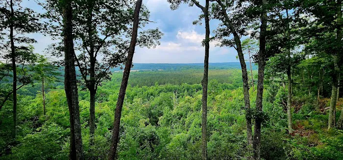 Pine Bluff RV Campground Picture 1