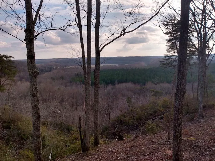 Pine Bluff RV Campground Picture 4