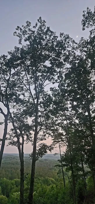 Pine Bluff RV Campground Picture 2