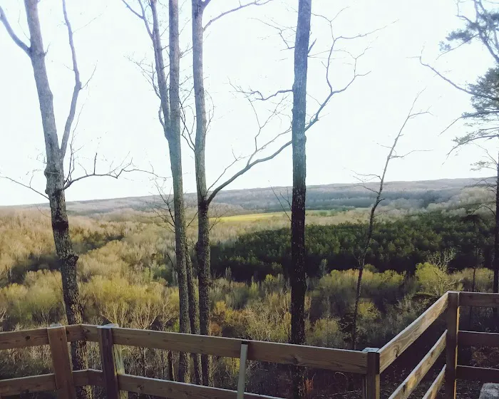 Pine Bluff RV Campground Picture 6