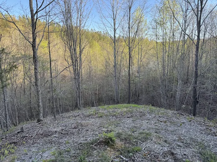 Harmony Ridge RV Park Picture 6