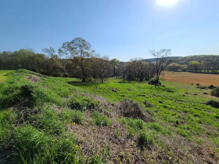 Choccolocco Creek Campground Picture 7