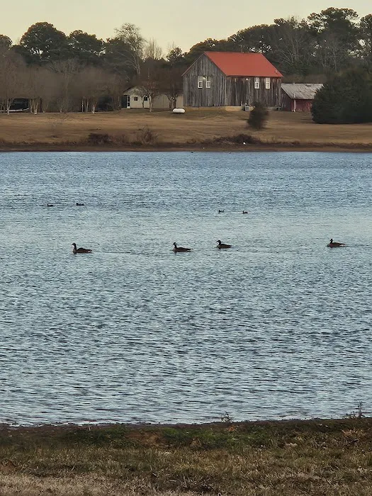 Logan Martin Lake RV Resort Picture 8
