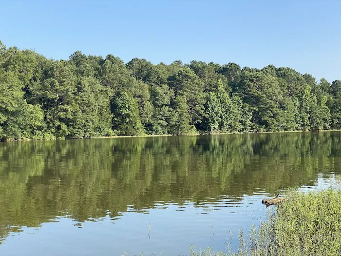 Safe Harbor RV Park Picture 4