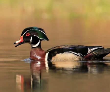 Lakeside Landing RV Park & Marina