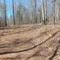 Real Nice and Easy RV Park ico
