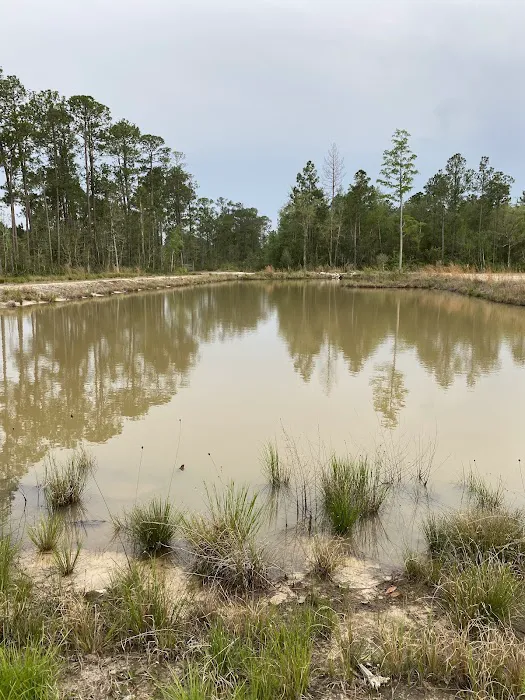 Mutt's Place RV Park Picture 10