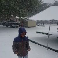 Pine Meadows Mhp ico