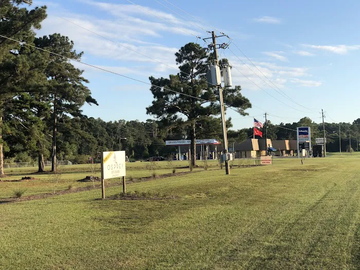 Osprey RV Park Picture 3