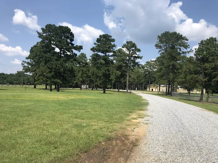 Osprey RV Park Picture 5