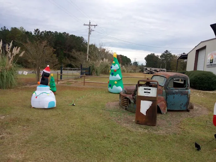 Backwater RV Park Picture 4