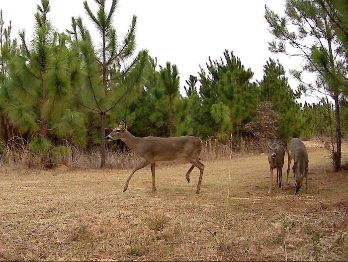 Backwater RV Park Picture 2