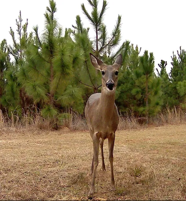 Backwater RV Park Picture 8