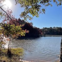 Pataula Storage, Camping, RV Park ico