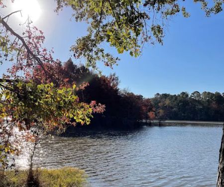 Pataula Storage, Camping, RV Park