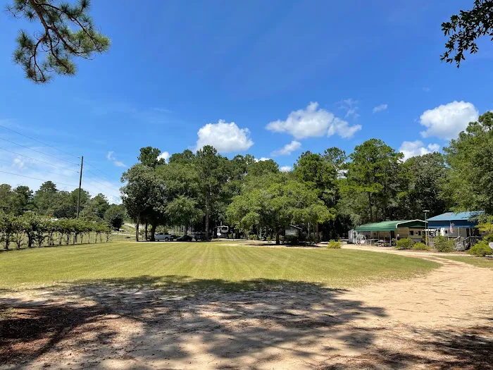 Pataula Storage, Camping, RV Park Picture 7