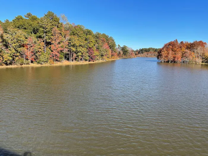 Pataula Storage, Camping, RV Park Picture 6